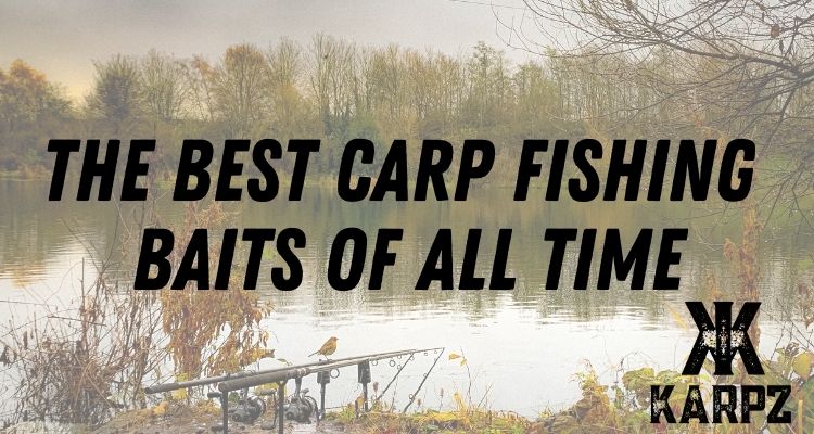 The Best Carp Baits of All Time
