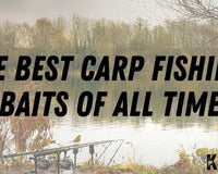 The Best Carp Baits of All Time