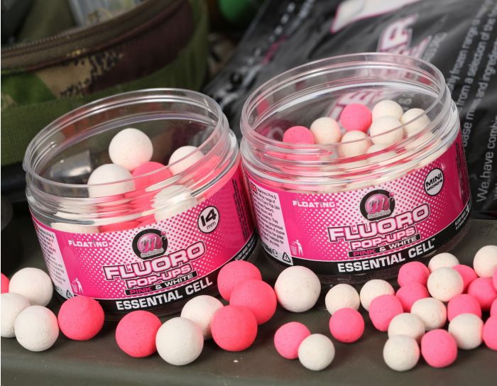 Mainline Fluoro Pop Ups